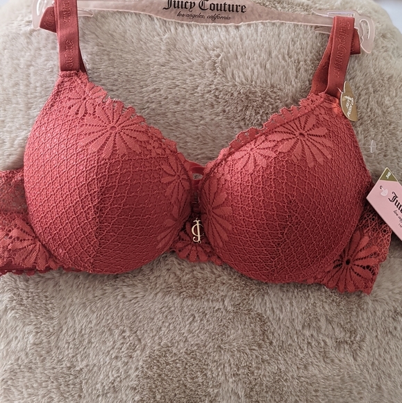 Juicy Couture Sexy Lace Push Up Bra 34B - Picture 3 of 15